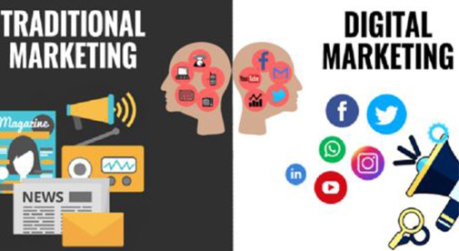 best web development company in ludhiana